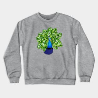 Peacock + Peacock Calathea plant Crewneck Sweatshirt